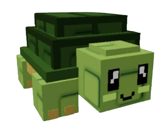 Turtle (Rare)