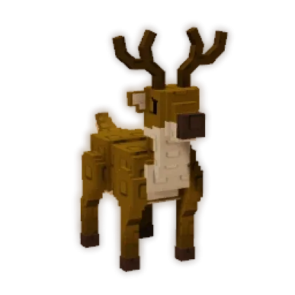 Reindeer