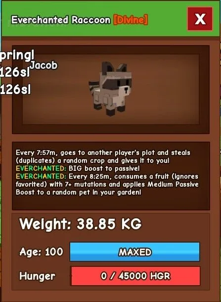 Huge Everchanted Racoon 39kg — Account account