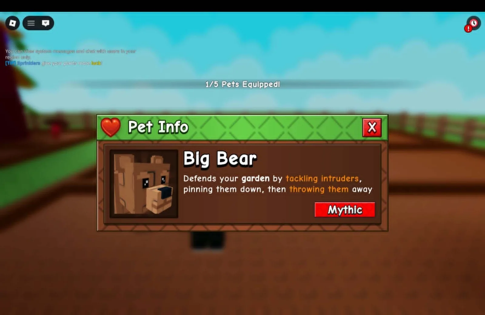 Bear