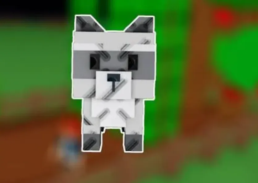 Raccoon (Super)