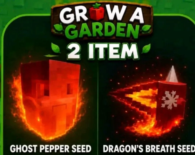Seeds — Account account