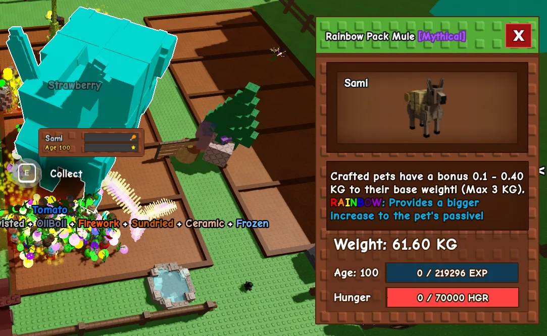60kg+ RainBow Pack Mule super handsome
