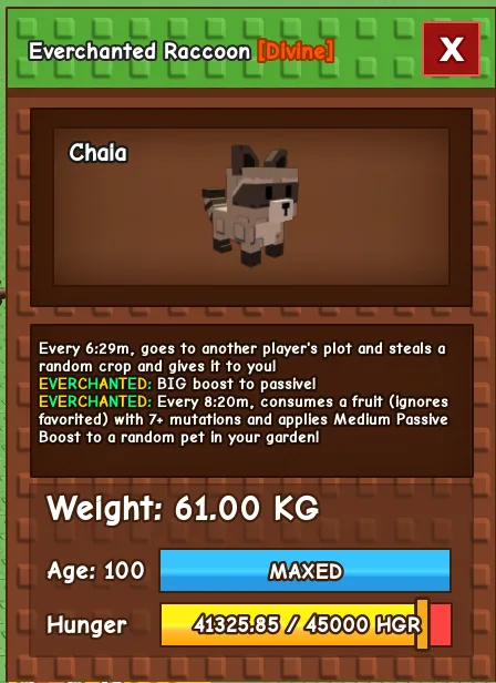 HUGE RACCOON 60kg / 61kg AGE 100 READY STOCK INSTAN DELIVERY — Account account
