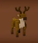 Reindeer