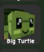 Turtle (Rare)