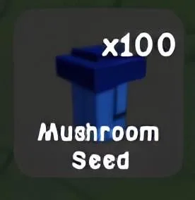 Mushroom Seed — Account account