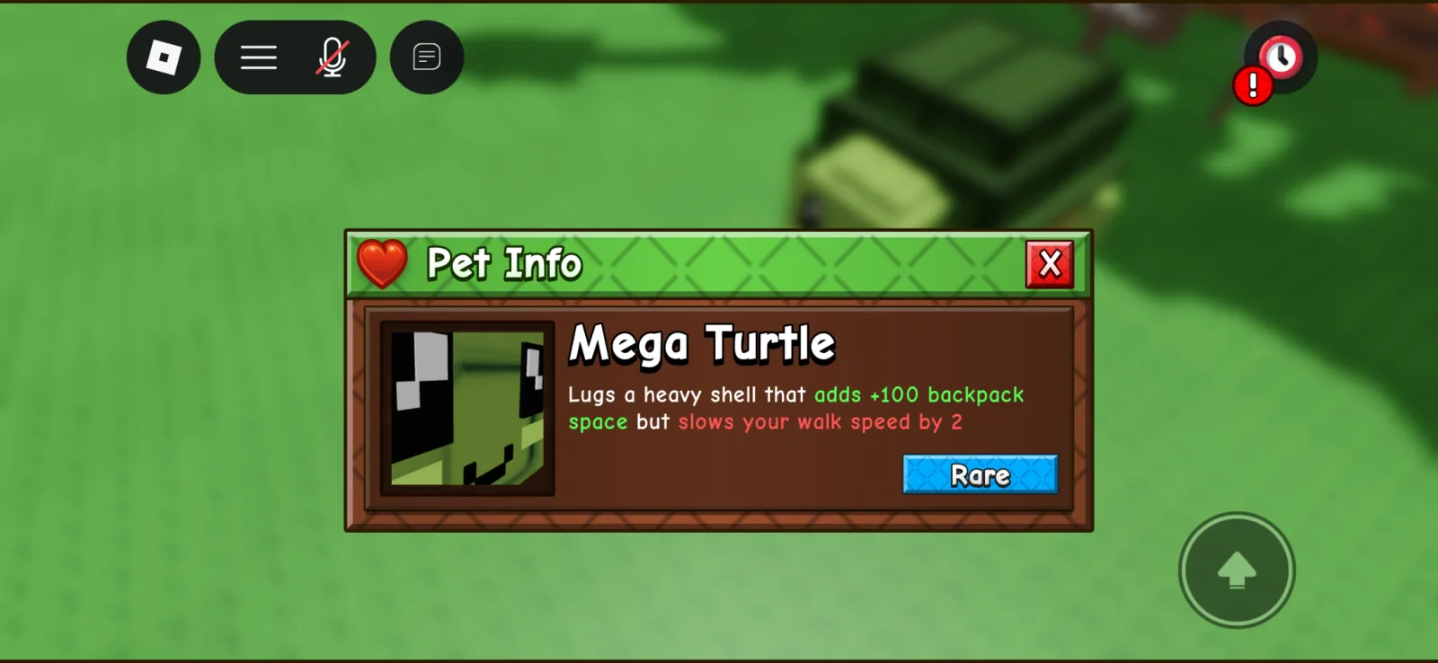 Turtle (Rare)