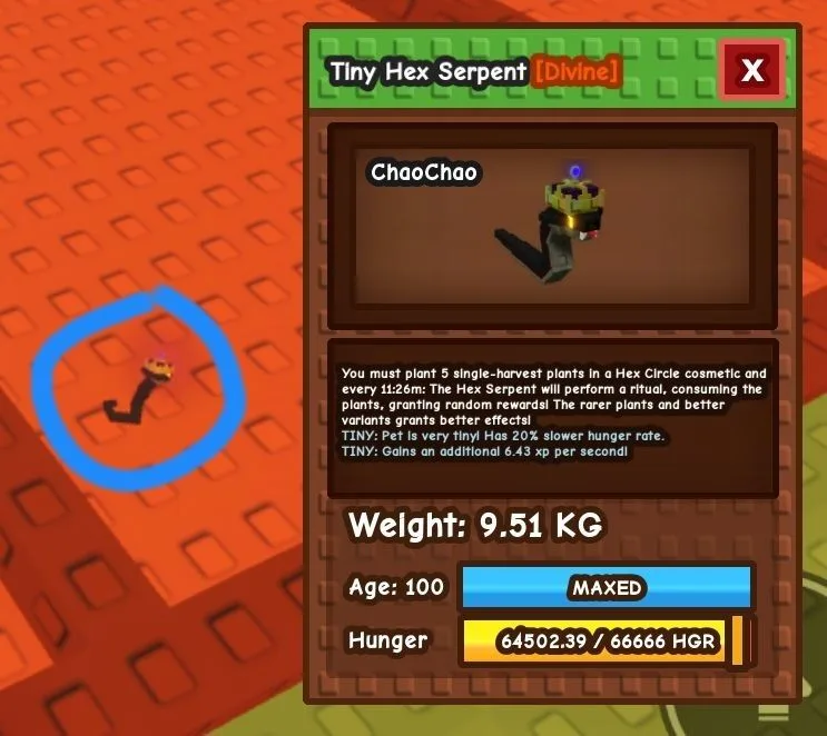 TINY Hex Serpent - 9.51 KG (Age 100)