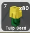 Tulip Seed — Account account