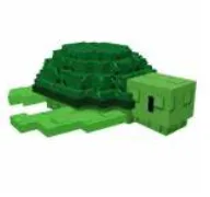 Sea Turtle — Account account