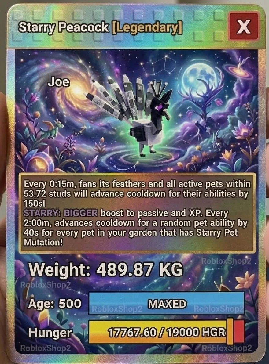 489.87KG OP MUTATION STARRY GIGANTIC PEACOCK 5 0 0 AGE l READY TO USE - 15 SEC MAX CD - NO TOY LIMITED STOCK
