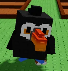 Toucan