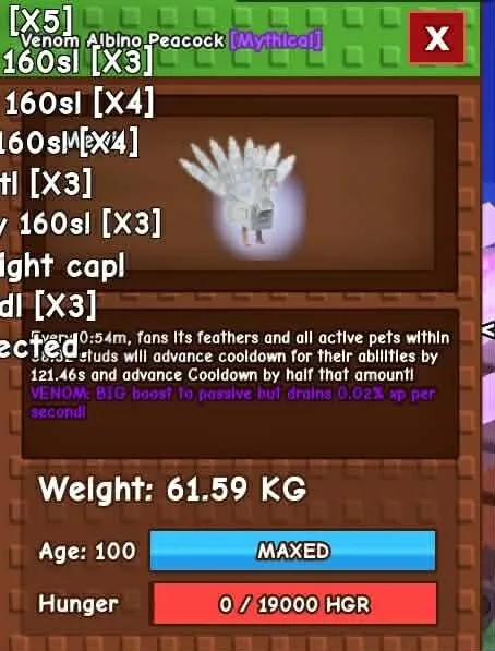 ALBINO PEACOCK EMBER MUT 60-61KG FAST DELIVERY — Account account