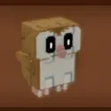 Barn Owl — Account account