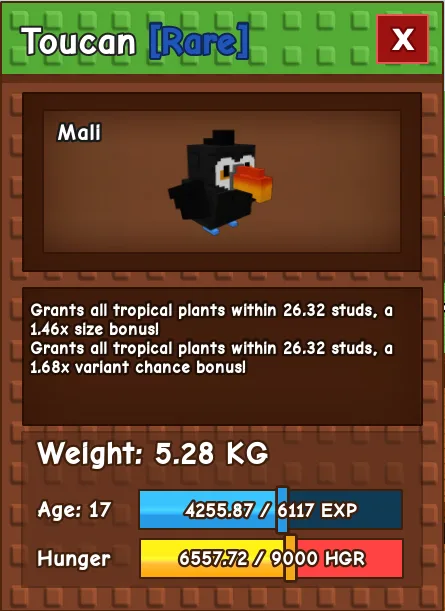 Toucan RARE Age 17 5.28KG