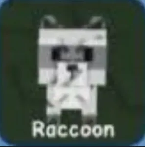 Raccoon (Mythic) — Account account