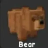 1x Bear — Account account