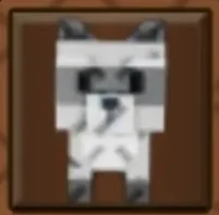 Raccoon (Mythic) — Account account