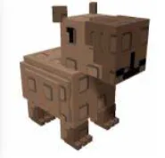 Capybara