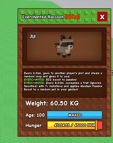 Everchanted Raccoon Huge 60kg-62kg age 100 maxed