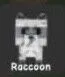 Raccoon — Account account