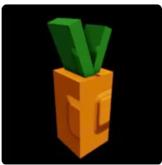 NA CARROT 50+KG