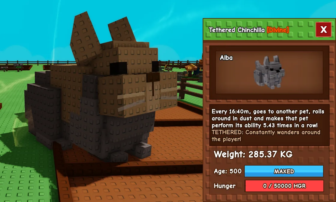 285.34kg+ Tethered Chinchilla