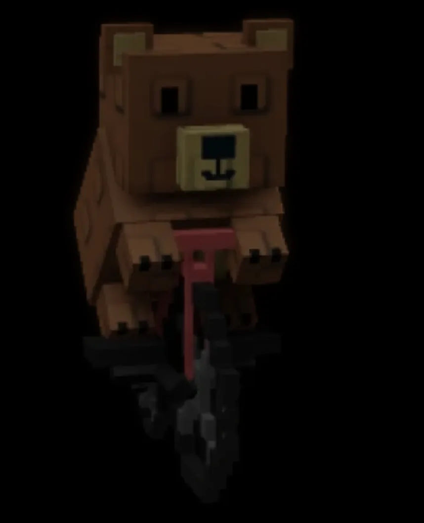 BEAR ON BIKE PET — Account account