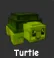 Turtle (Rare)