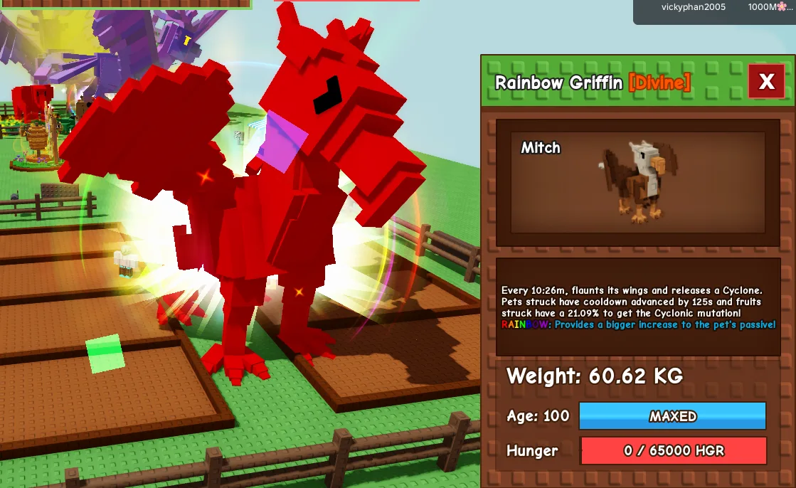 60.72kg+ Age 100 Rainbow Griffin