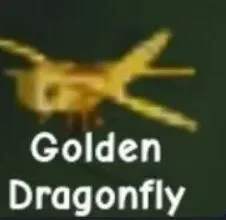 Golden DragonFly — Account account