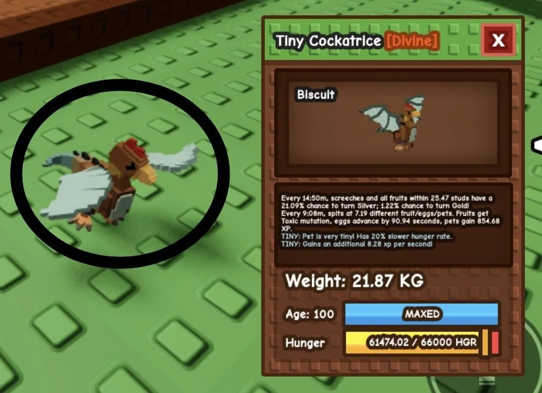 TINY Cockatrice - 21.87 KG (Age 100)