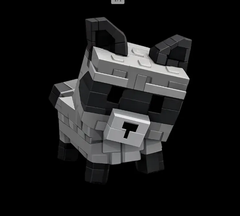 Raccoon