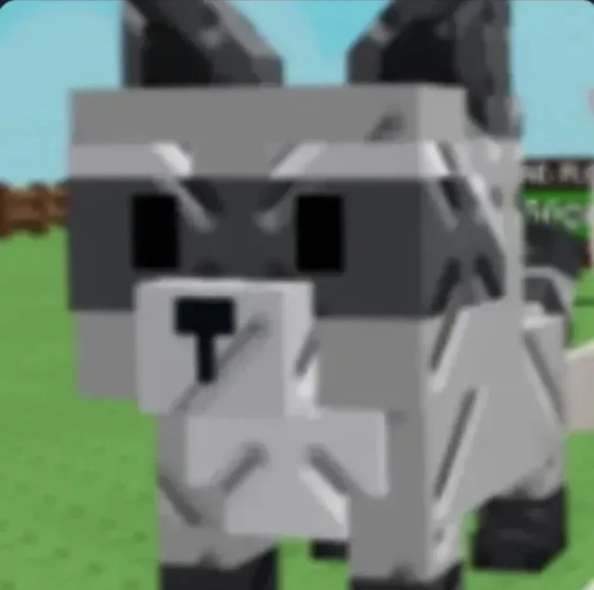 Raccoon (Mythic) — Account account