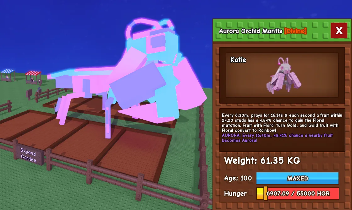 60kg+ Aurora / JUMBO Orchid Mantis