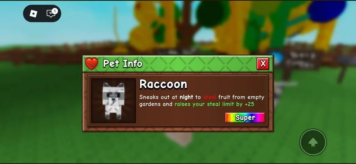 Raccoon (Super)