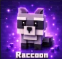 Raccoon (Super)