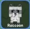 Raccoon (Super) — Account account