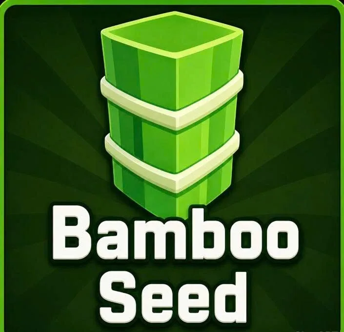 Bamboo Seed — Account account
