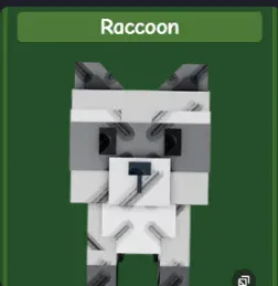 Raccoon