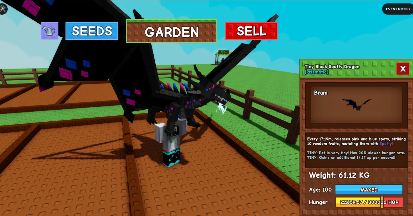60kg+ Tiny Black Spotty Dragon Cute Farming — Account account