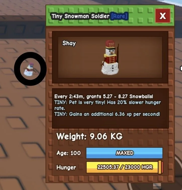 TINY Snowman Solider - 9.06 KG (Age 100)