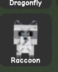 Raccoon (Mythic) — Account account