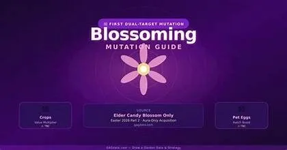 READY BLOSSOMING 60/61 KG SPIDER Grow A Garden
