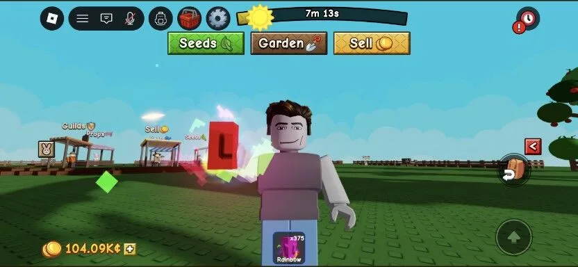 Rainbow Seed