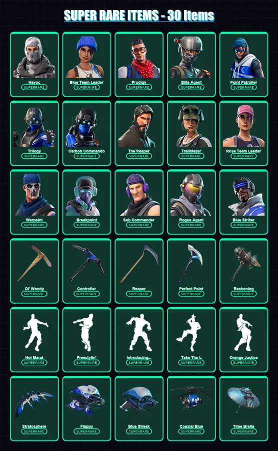 [PC] | Havoc | Blue Team Leader | Prodigy | Elite Agent | Point Patroller | 203 skin | 182 pickaxe | 191 emote | 166 glider | Lv2061