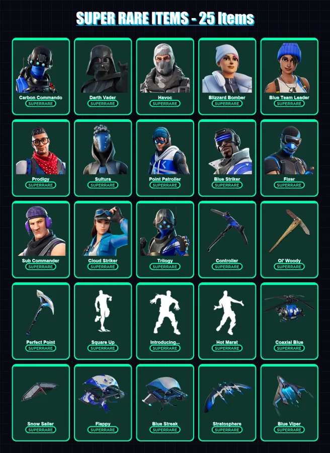 [PC/XBOX] | Carbon Commando | Darth Vader | Havoc | Blizzard Bomber | Blue Team Leader | 198 skin | 206 pickaxe | 173 emote | 165 glider | Lv2487