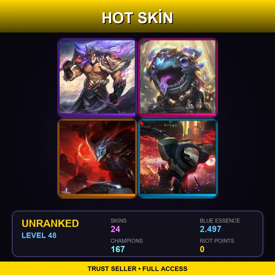 VN | Lv48 | Unranked | 24 Skin | 167 Champ — LoL account