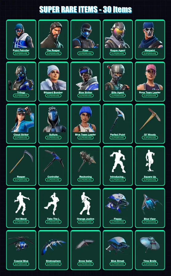 [PC] | Point Patroller | The Reaper | Fixer | Rogue Agent | Warpaint | 165 skin | 141 pickaxe | 137 emote | 130 glider | Lv1441